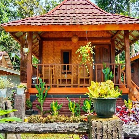 Pondok Rinjani Bungalow Tetebatu Exterior foto