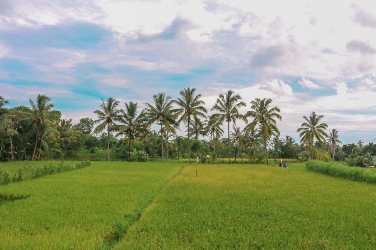 Pondok Rinjani Bungalow Tetebatu Exterior foto